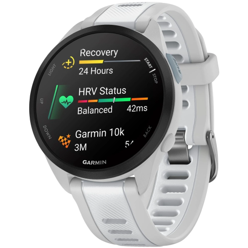 Garmin FORERUNNER 165 Music (010-02863-31) Mist Gray/Whitestone