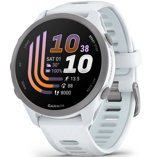Garmin FORERUNNER 170 Music (010-03920-11) Whitestone/Cloud