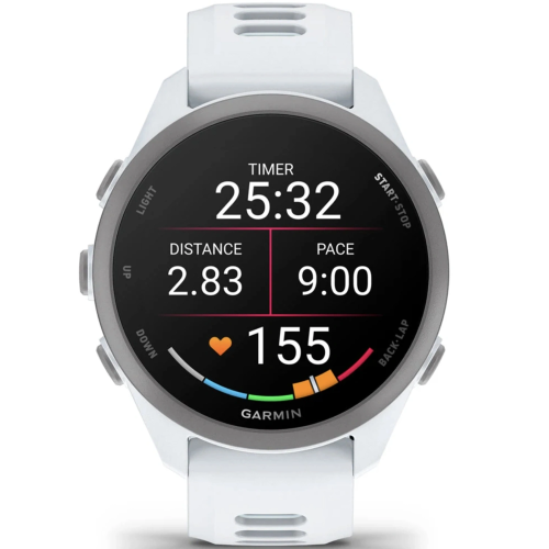 Garmin FORERUNNER 170 (010-03920-01) Whitestone/Cloud Blue