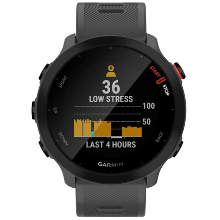 Умные часы Garmin Forerunner 55 (010-02562-13) Monterra Grey