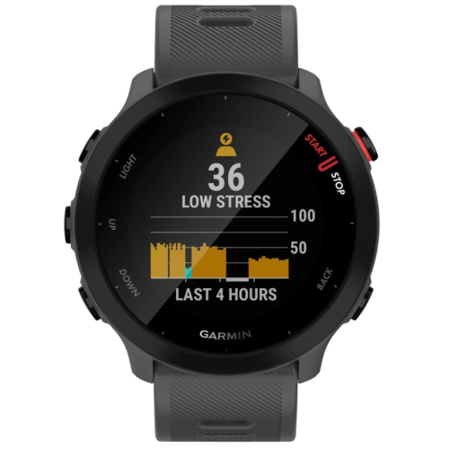Умные часы Garmin FORERUNNER 55 (010-02562-13) Monterra Grey