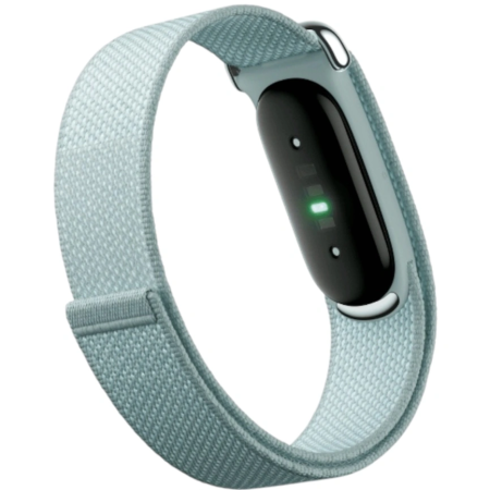 Фитнес-браслет Google Fitbit Air, Fog