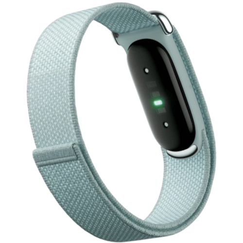 Фитнес-браслет Google Fitbit Air, Fog