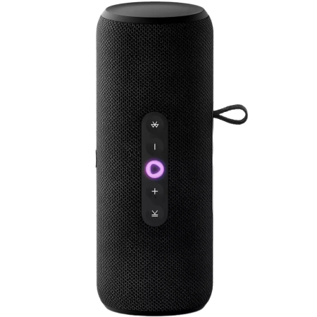 Умная портативная колонка Яндекс Станция Стрит с Алисой, Черный